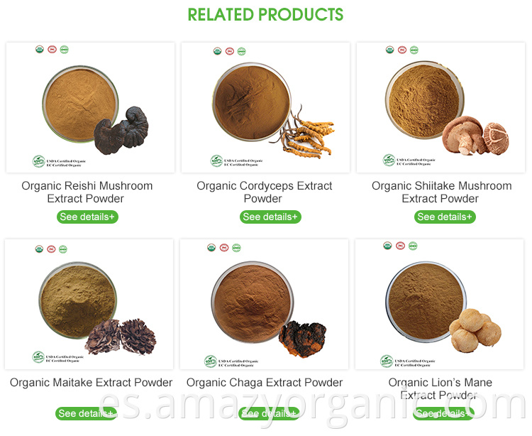 Polvo de extracto de hongo shiitake orgánico natural puro 10% -50% polisacáridos